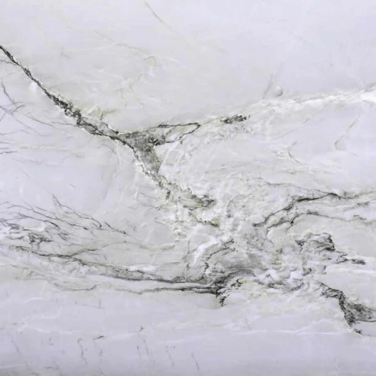 Closeup image of Le Blanc Premium White Quartzite countertop slab