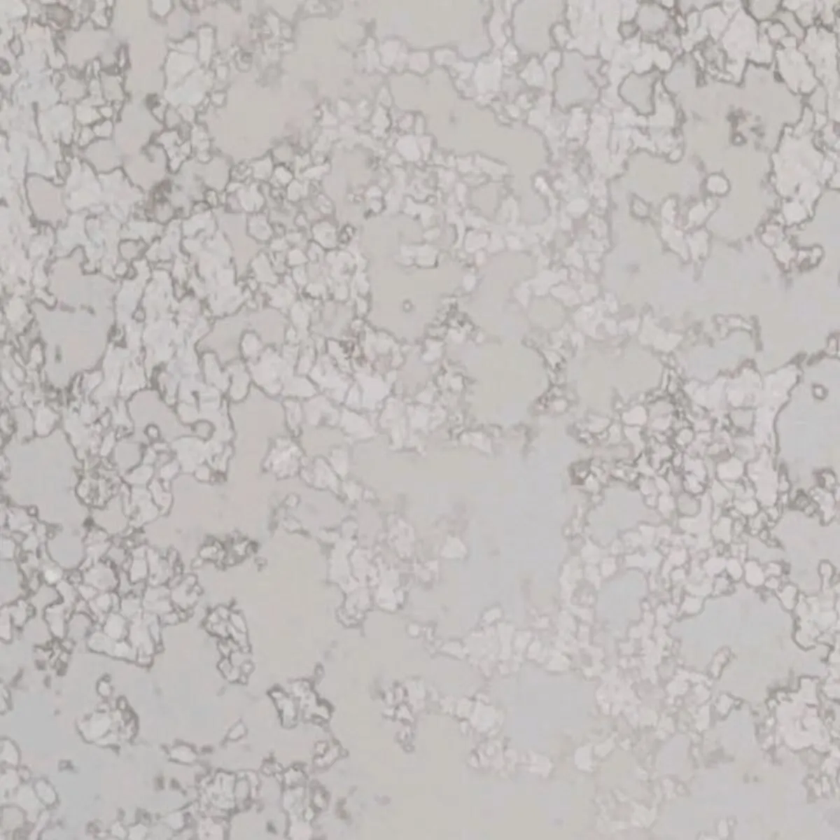 Closeup image of Aggranite Quartz Lunar Moon Grey Quartz countertop slab