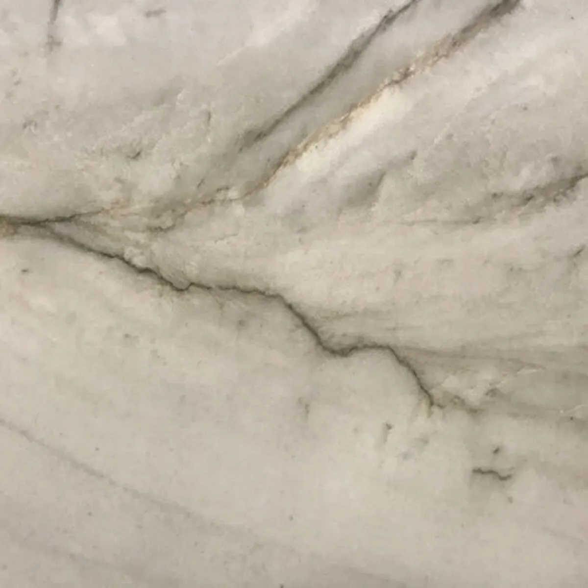Closeup image of Mont Blanc Grey Quartzite countertop slab