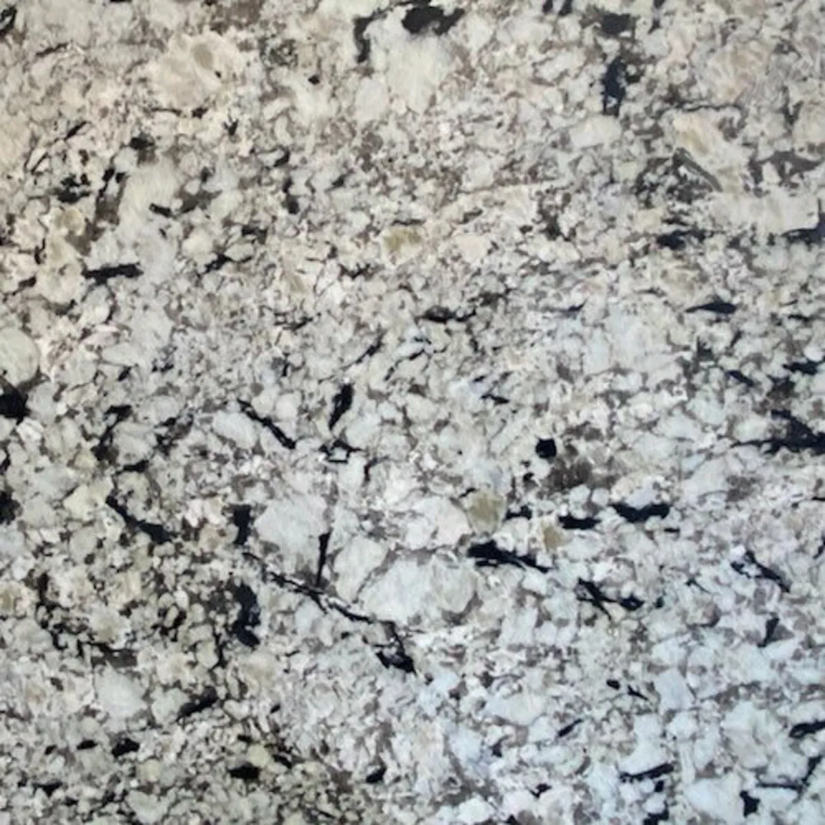Closeup image of Mountain White Cream Granite countertop slab