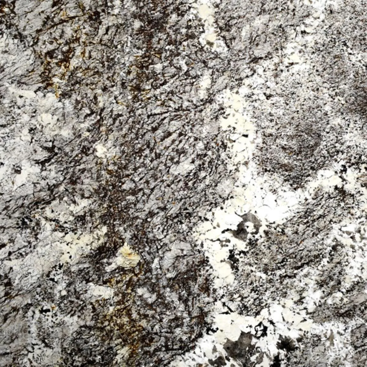 Closeup image of Persa Avorio Grey Granite countertop slab