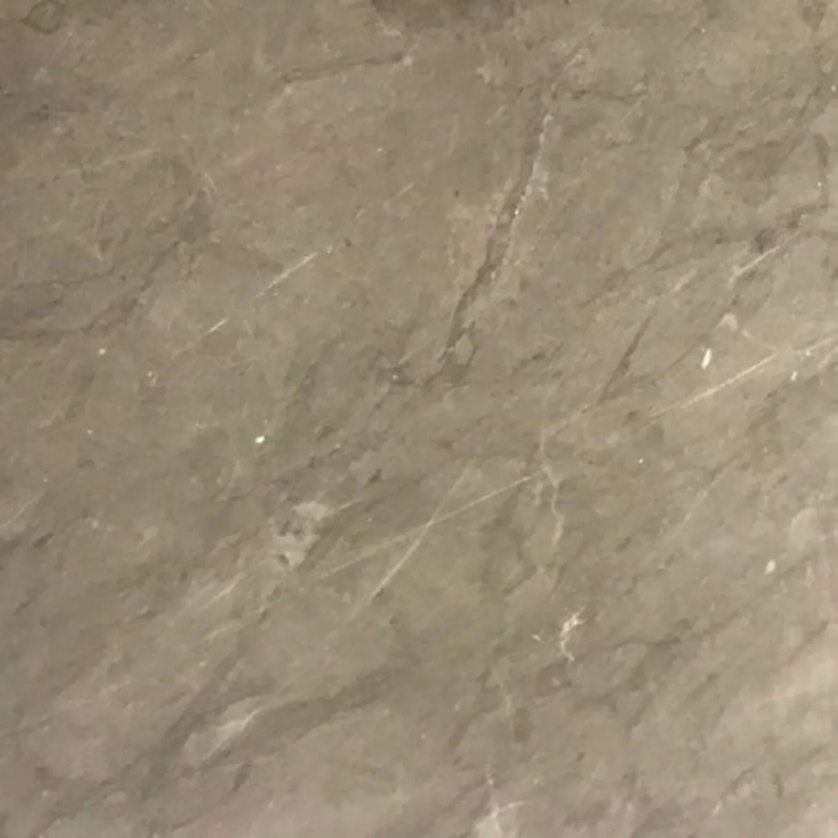 Closeup image of Pietra Grey Grey Marble countertop slab
