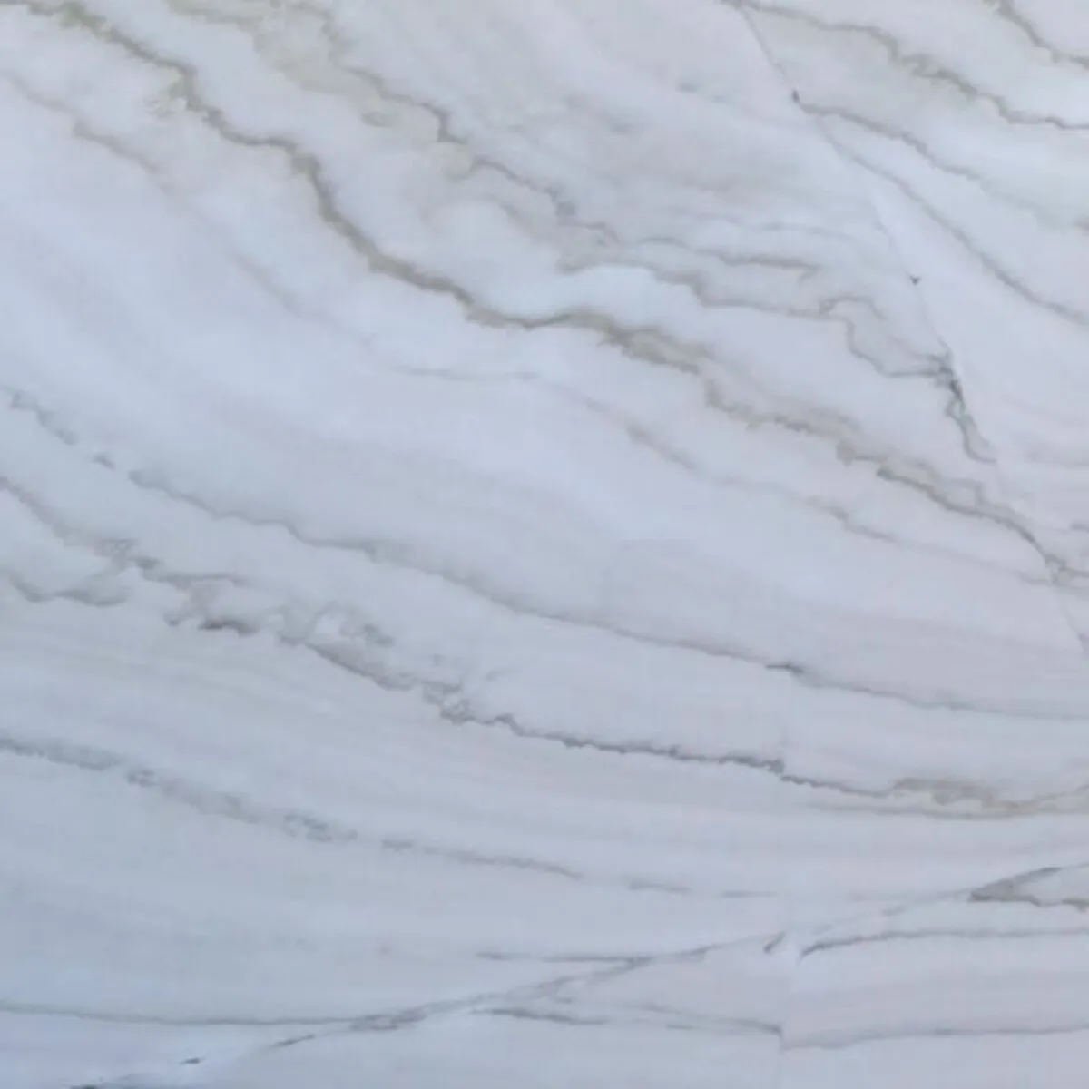 Closeup image of Riviera White Quartzite countertop slab