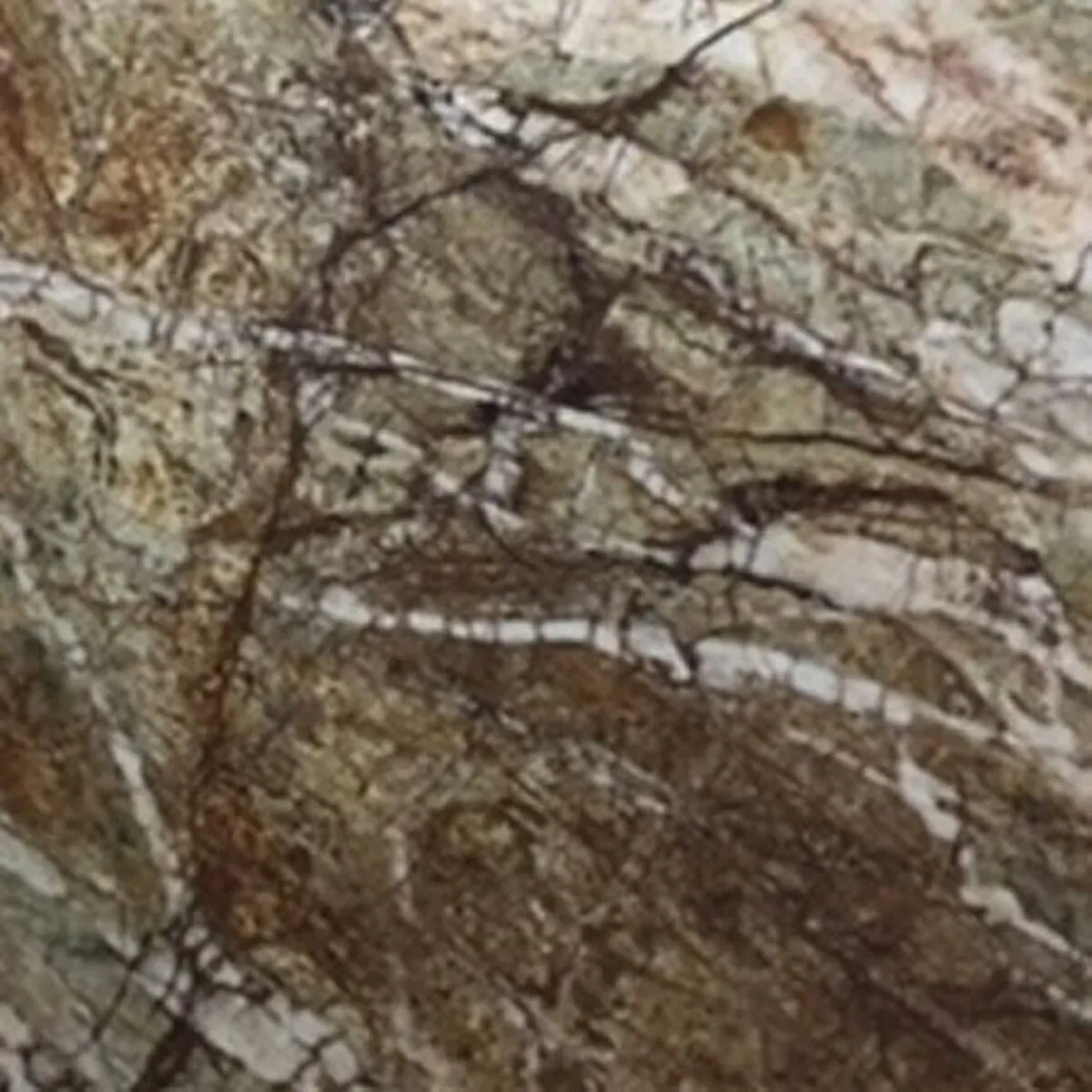 Closeup image of San Lorenzo Brown Quartzite countertop slab