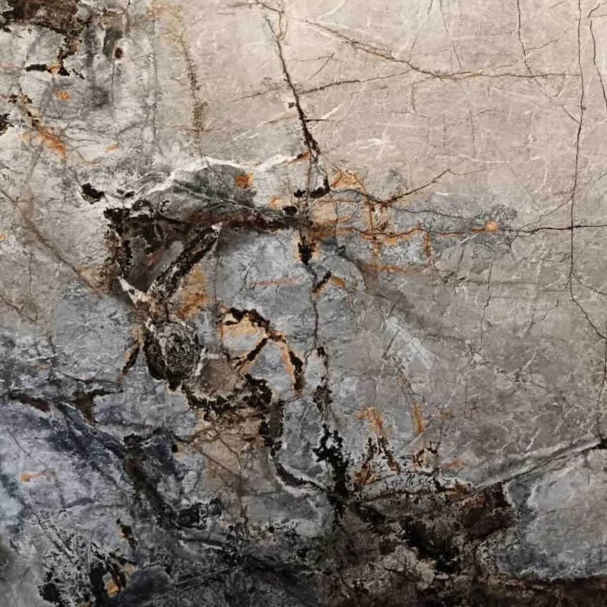Closeup image of Silver Roots Grey Marble countertop slab