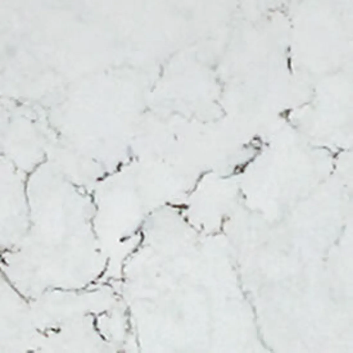 Closeup image of Aggranite Quartz Statuary Primo White Quartz countertop slab