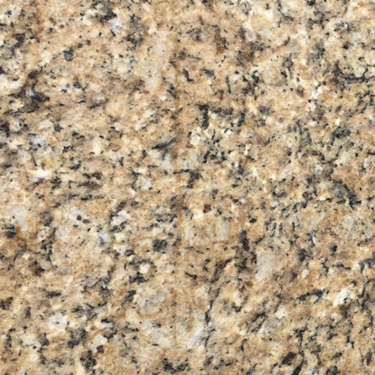 Closeup image of Venetian Bronze Beige Granite countertop slab