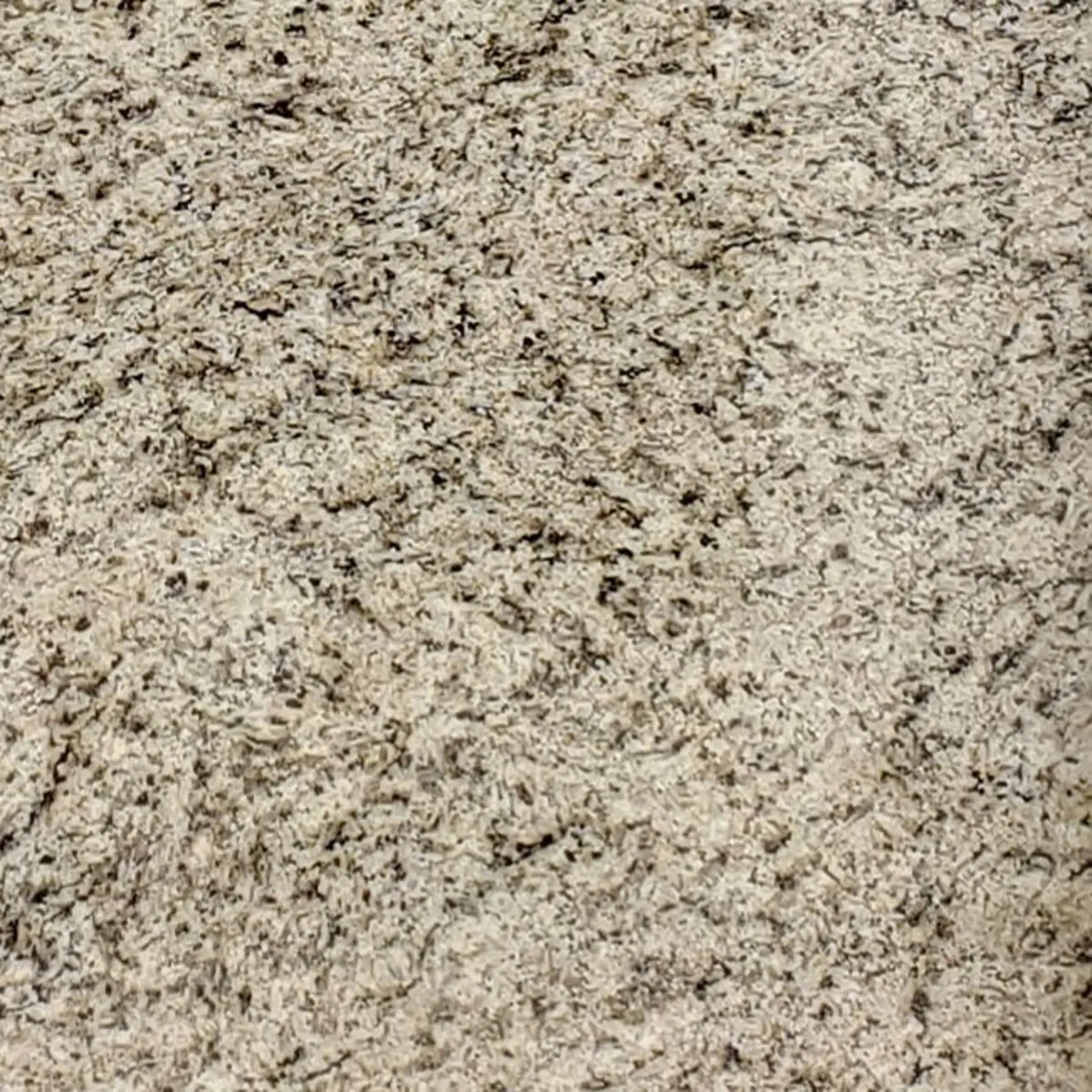 Closeup image of Venetian Gold Light Cream Granite countertop slab