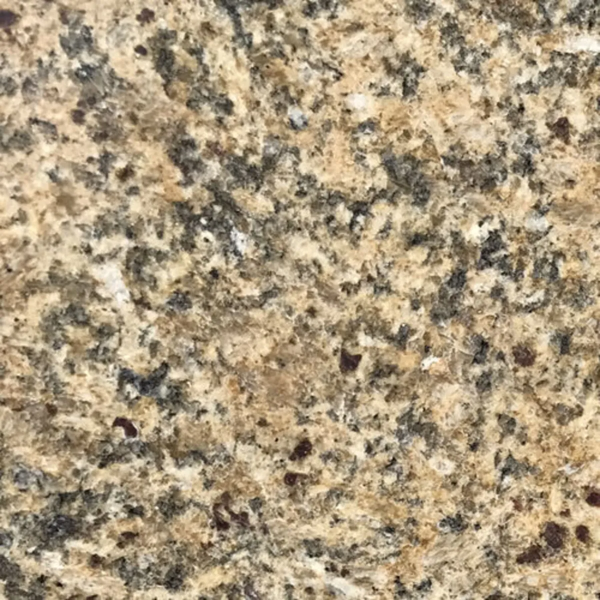 Closeup image of Venetian Gold New Beige Granite countertop slab