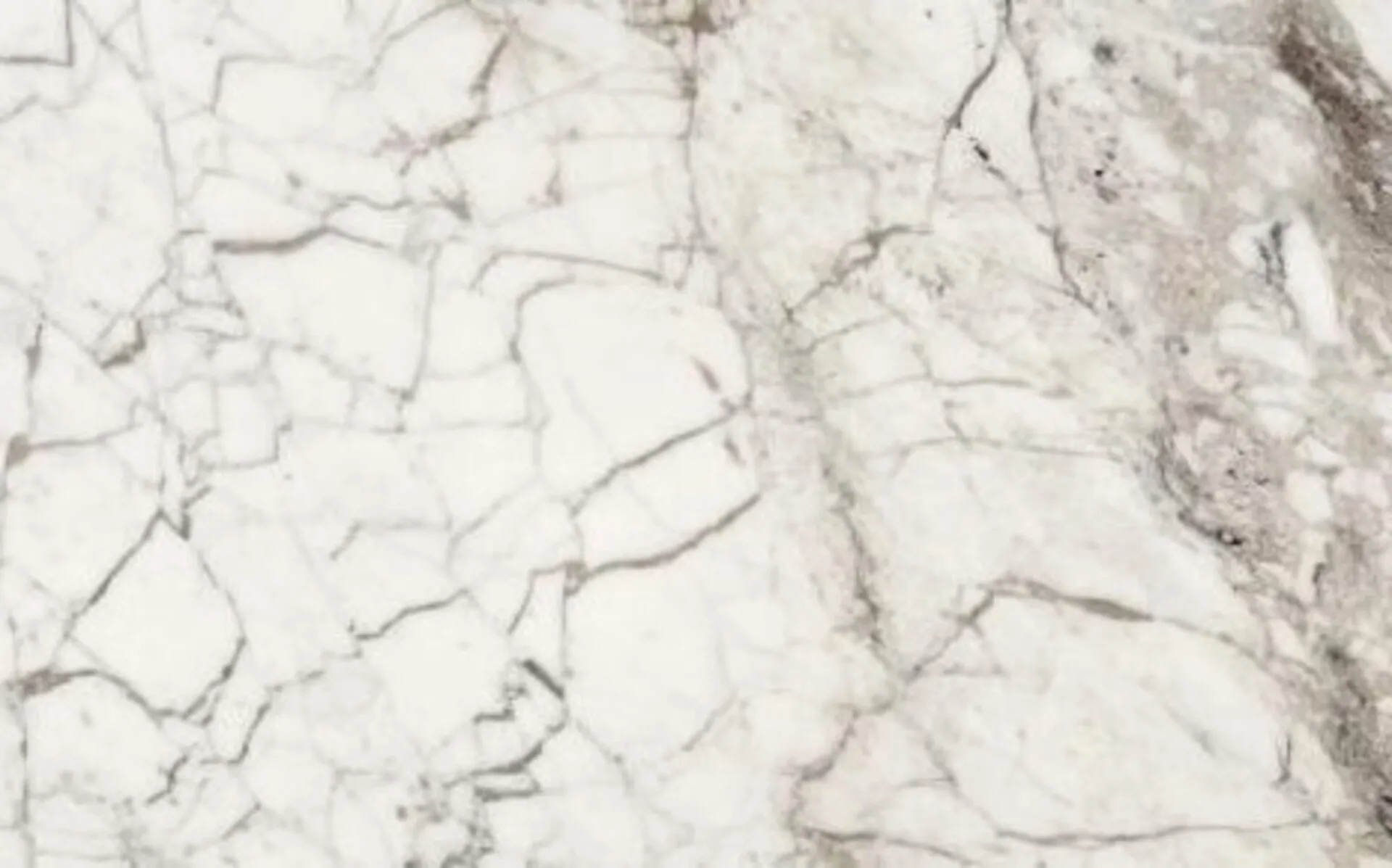 Closeup image of Viola Mezzamacchia White Marble countertop slab