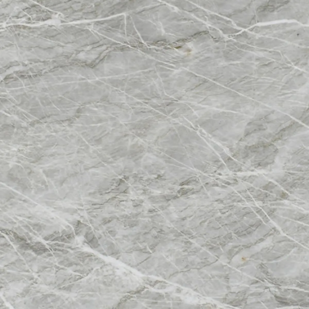 Closeup image of Vitoria Lux Grey Quartzite countertop slab