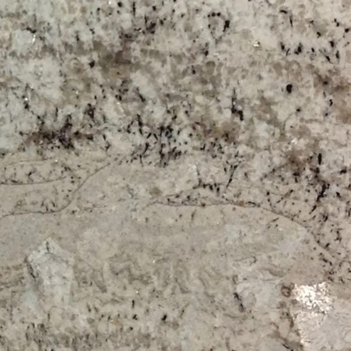 Closeup image of White Fantasy Grey Granite countertop slab