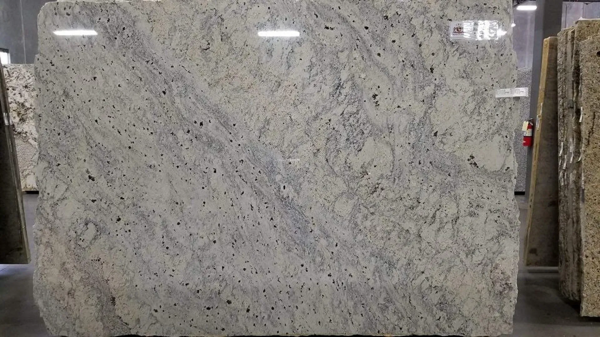 Closeup image of Bianco Romano Grey Granite countertop slab