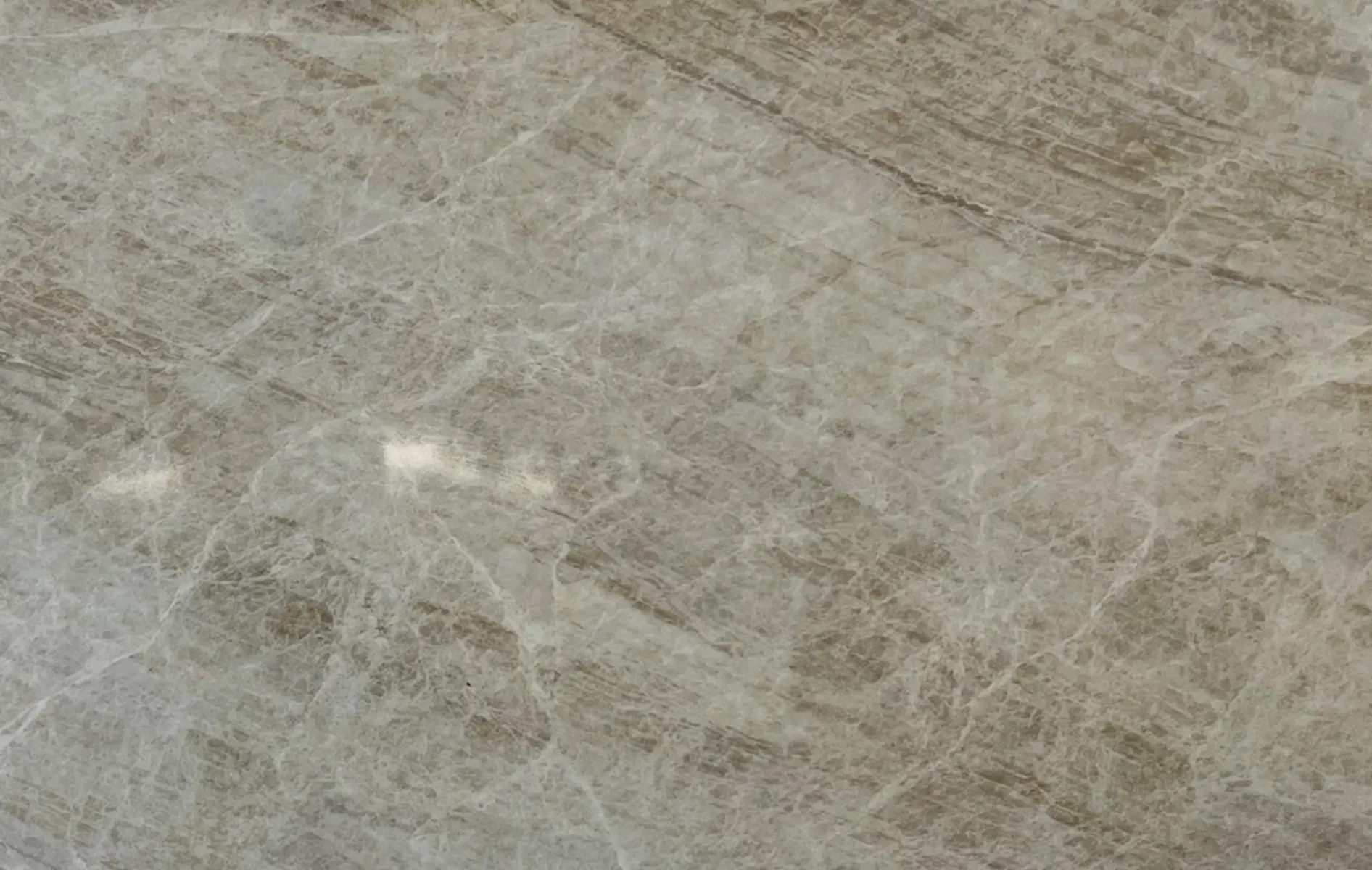 Closeup image of Opal Quartz Taj Mahal Beige Quartz countertop slab