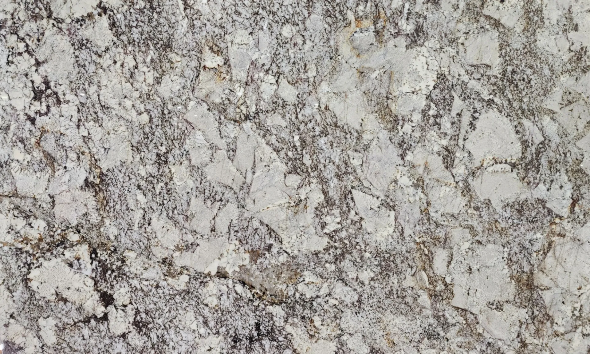Closeup image of Desert Beach Cream Granite countertop slab