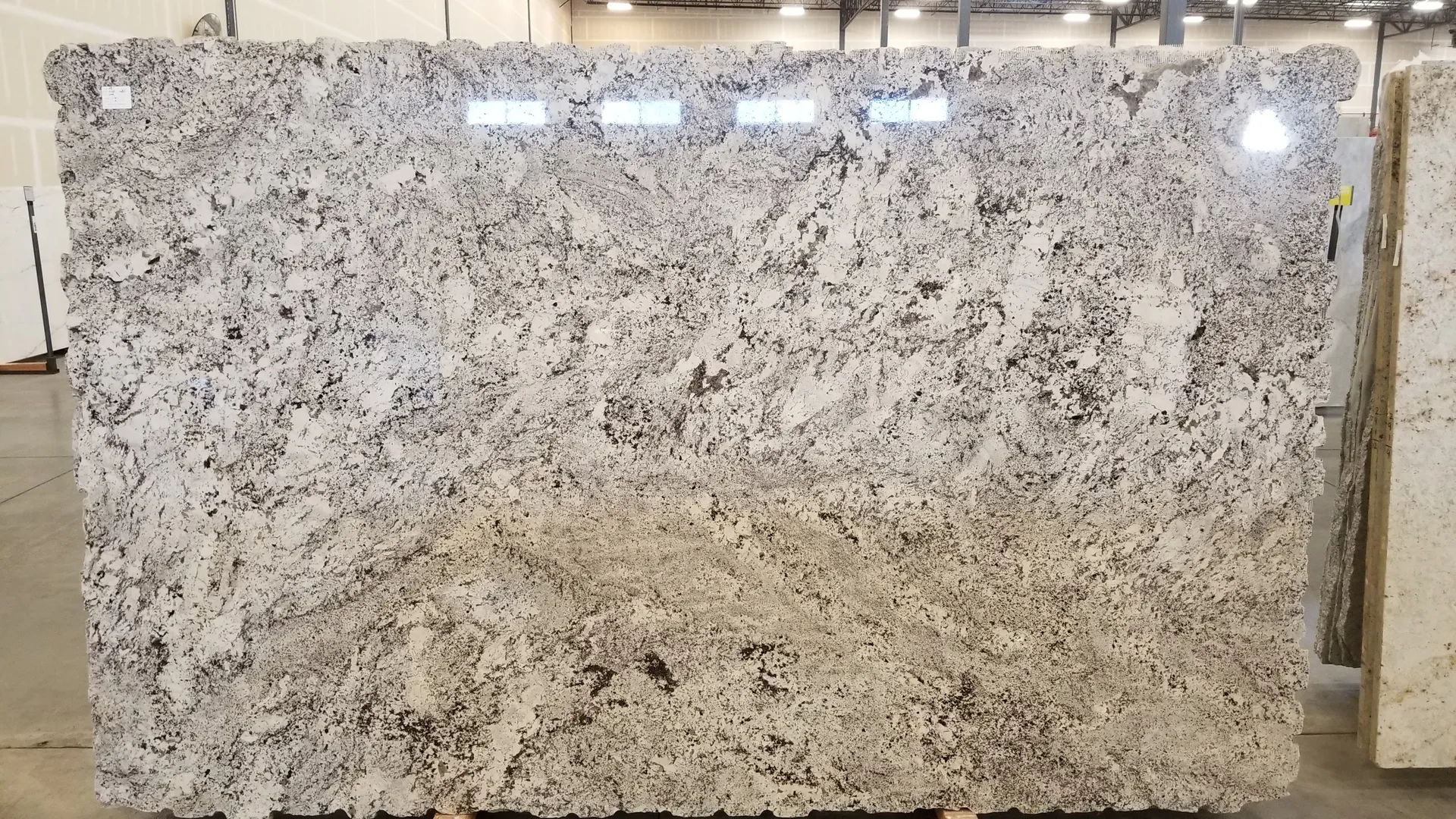 Closeup image of Alaska White 1st Choice Grey Granite countertop slab