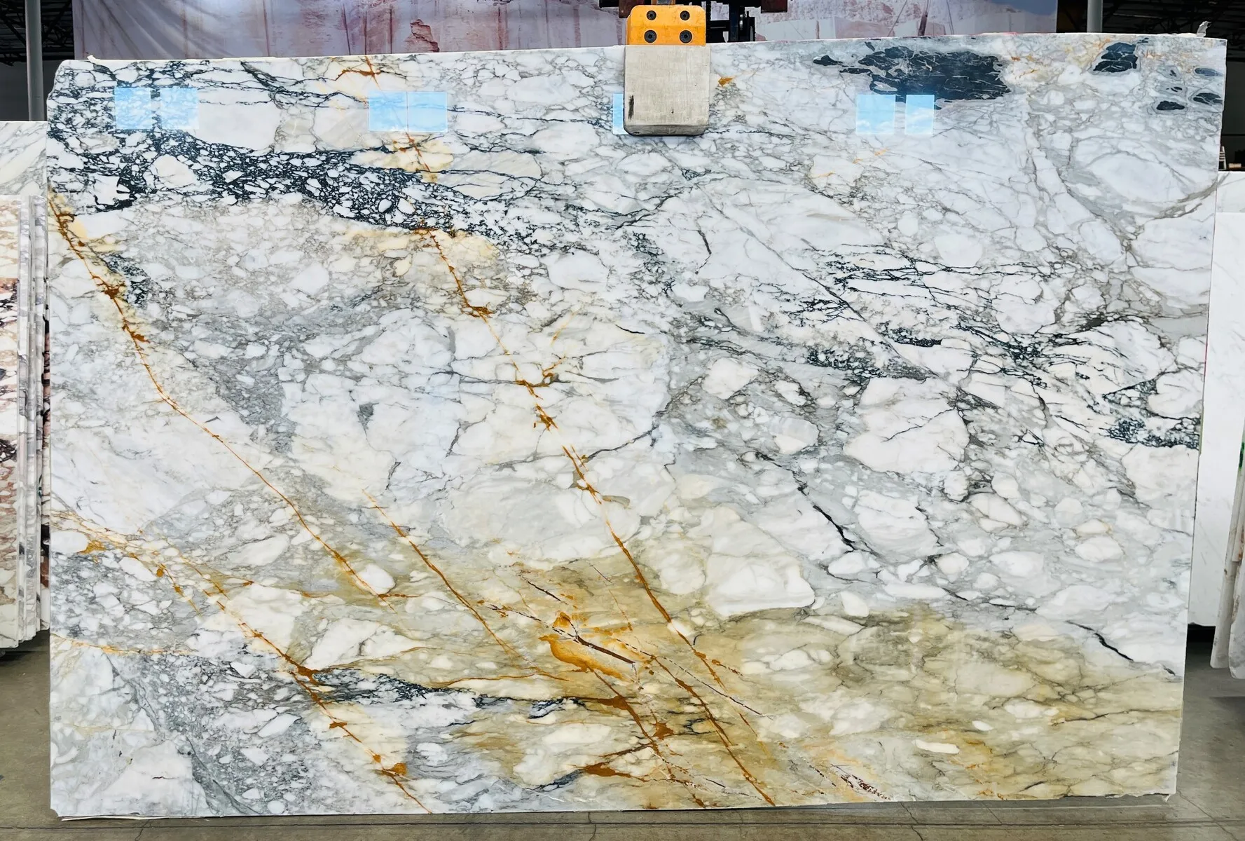 Closeup image of Calacatta Paonazzo Extra White Marble countertop slab
