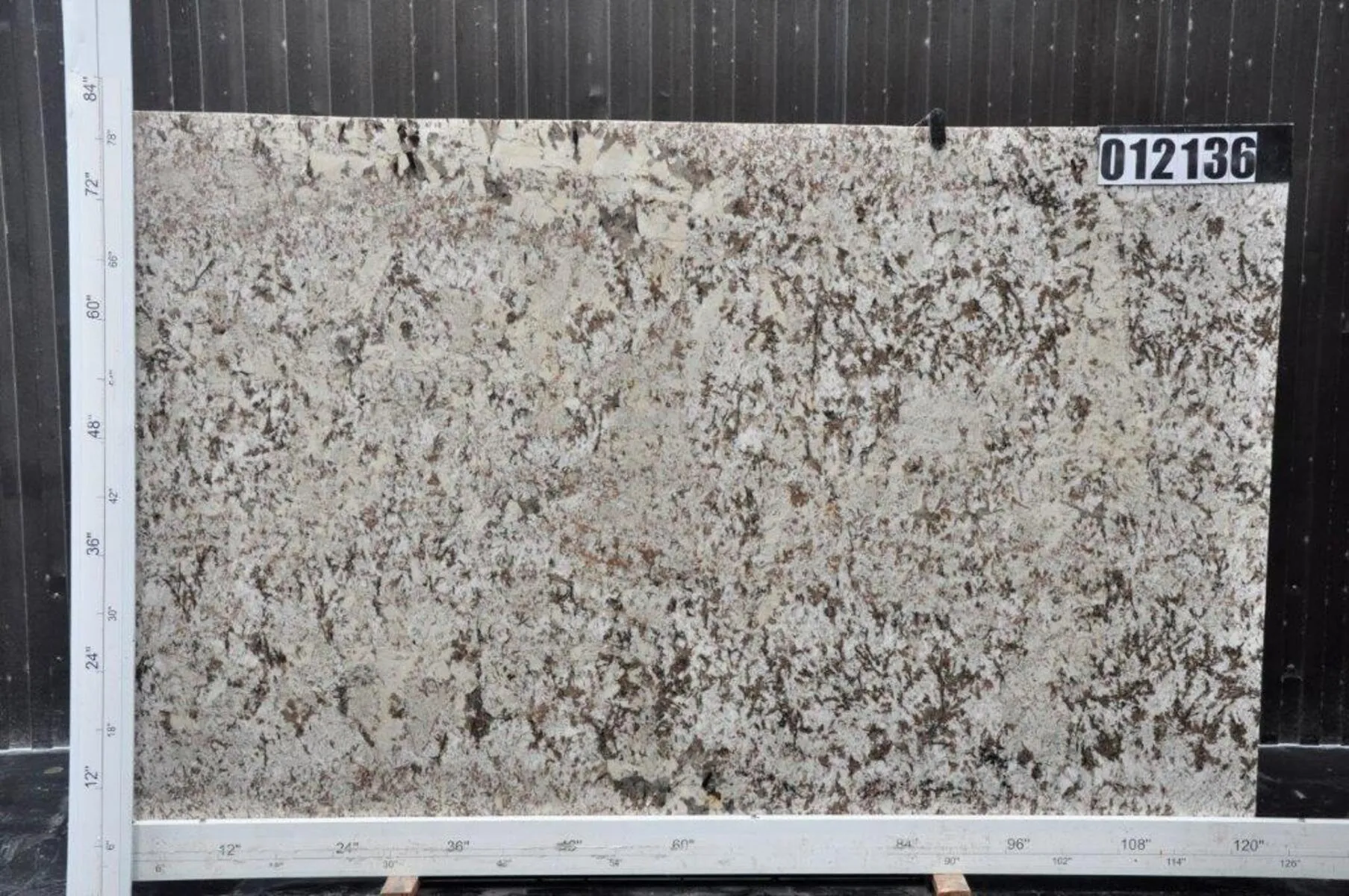 Closeup image of Bianco Antico 1st Choice Cream Granite countertop slab