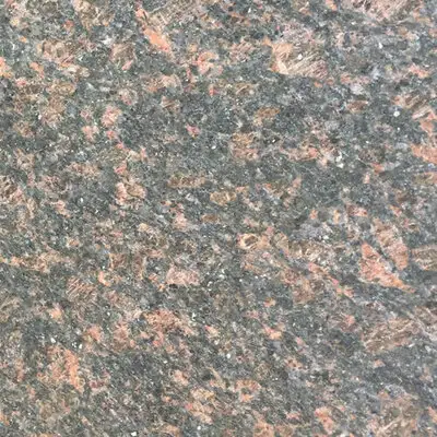 Closeup image of Tan Brown Brown Granite countertop slab