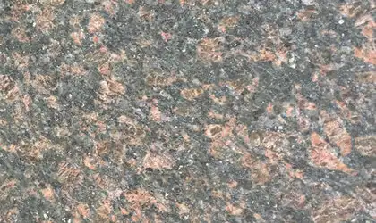 Closeup image of Tan Brown Brown Granite countertop slab