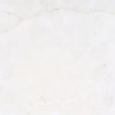 Closeup image of Viatera Mistica White Quartz countertop slab
