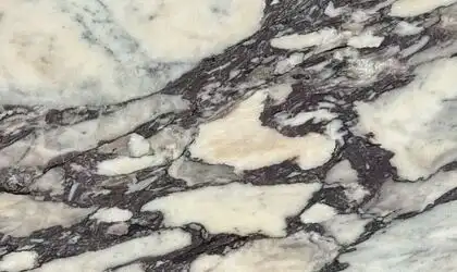Image of Calacatta Viola White Marble countertop slab