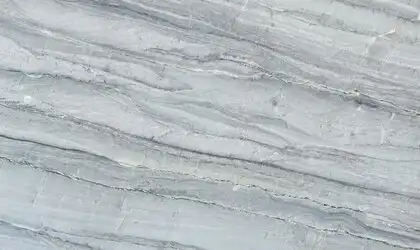 Closeup image of Platinus Light Grey Quartzite countertop slab