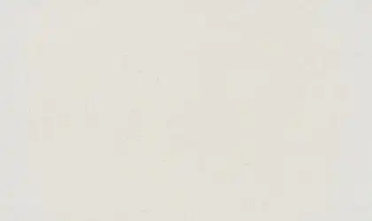Closeup image of ONE Quartz Surfaces Niagara White Quartz countertop slab Stone Countertop