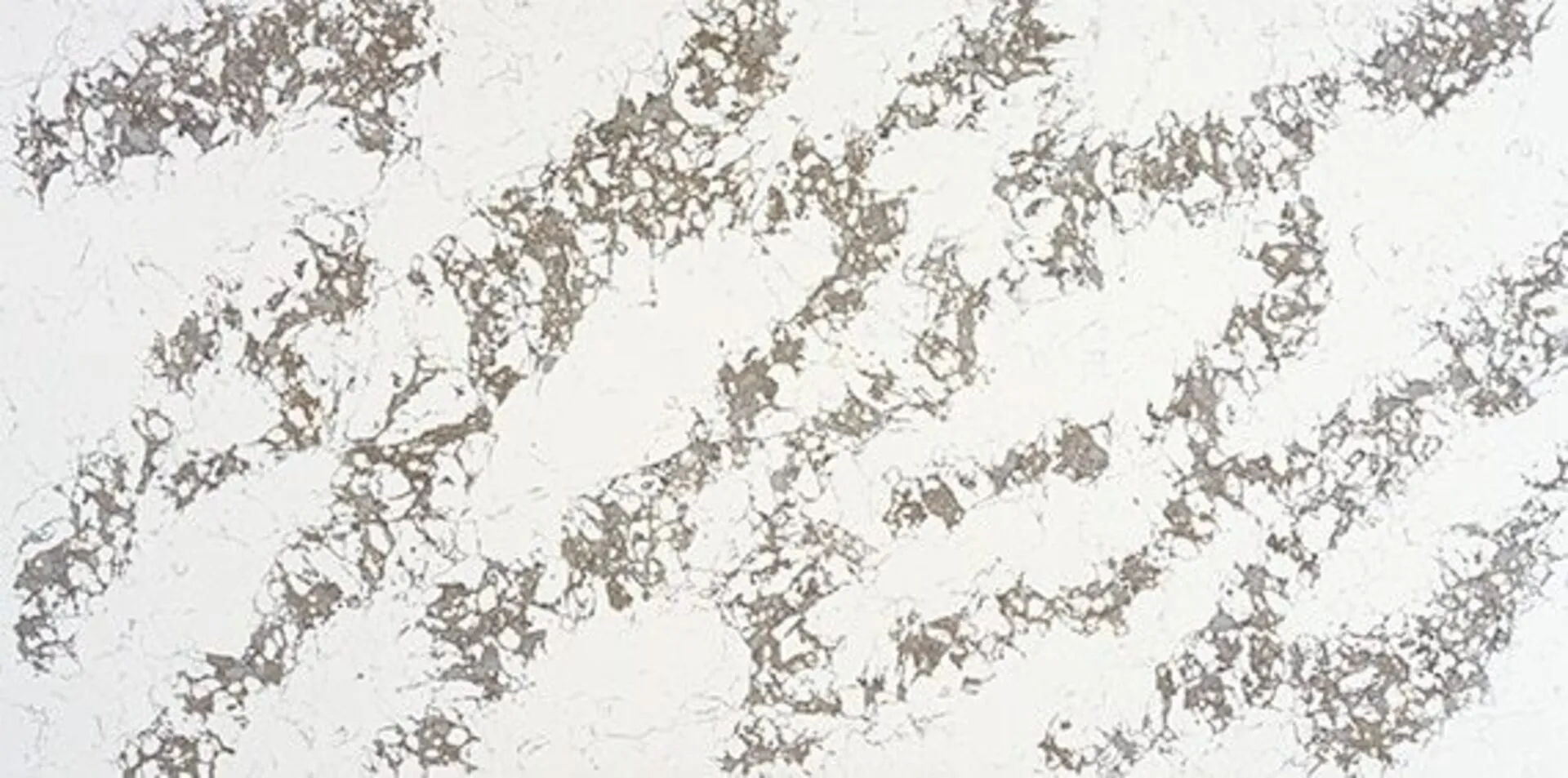 Image of installed ONE Quartz Surfaces Arctic Arabescato White Quartz countertops