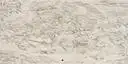 Closeup image of White Antico Cream Granite countertop slab