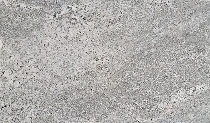 Closeup image of Saddle White Grey Granite countertop slab