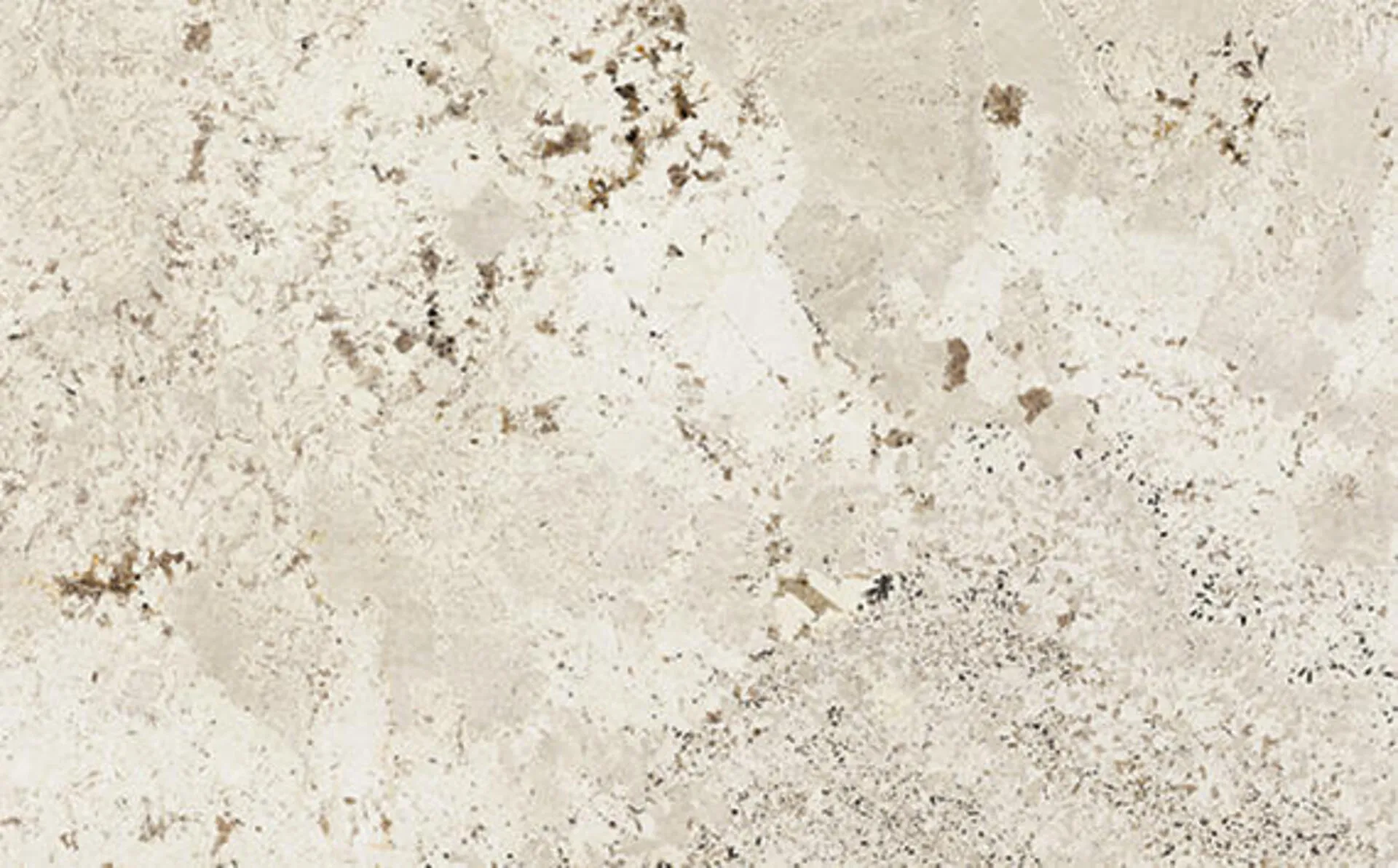 Closeup image of Adonis White Cream Granite countertop slab
