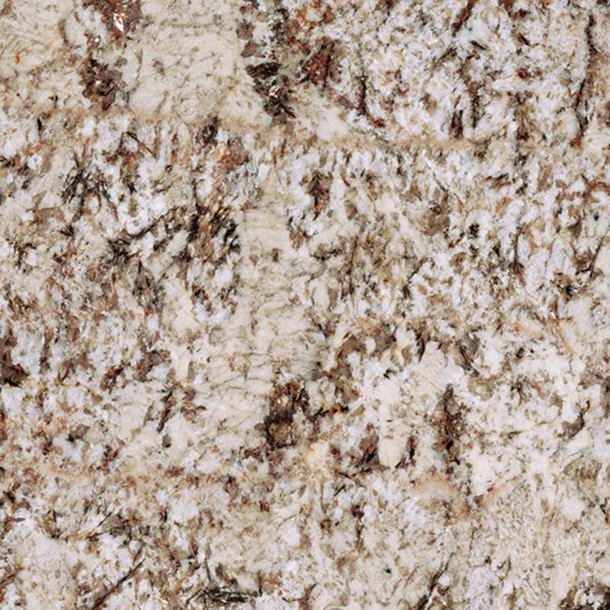 Closeup image of Bianco Antico Beige Granite countertop slab