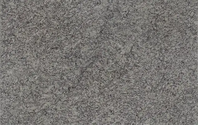 Closeup image of Ashen White Grey Granite countertop slab