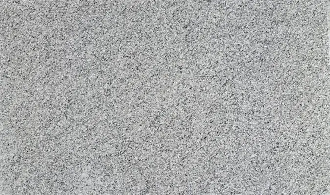 Closeup image of Bengal White Grey Granite countertop slab
