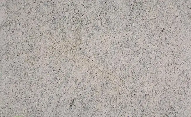 Closeup image of Dallas White Grey Granite countertop slab