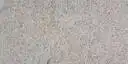 Closeup image of Dallas White Grey Granite countertop slab