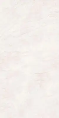 Image of installed Panoramic Porcelain Surfaces Moonstone Cream Porcelain countertops