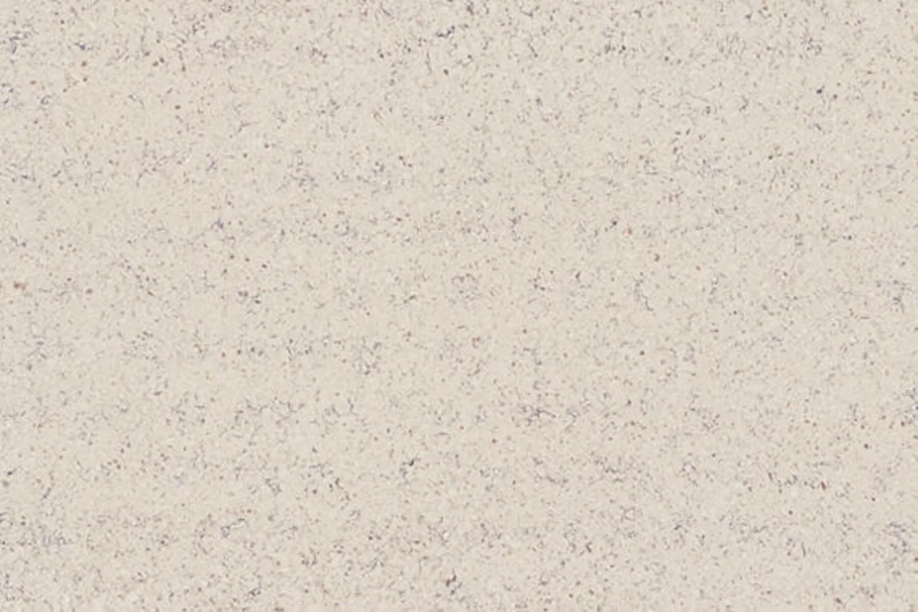 Image of installed ONE Quartz Surfaces Alpine Winter Cream Quartz countertops