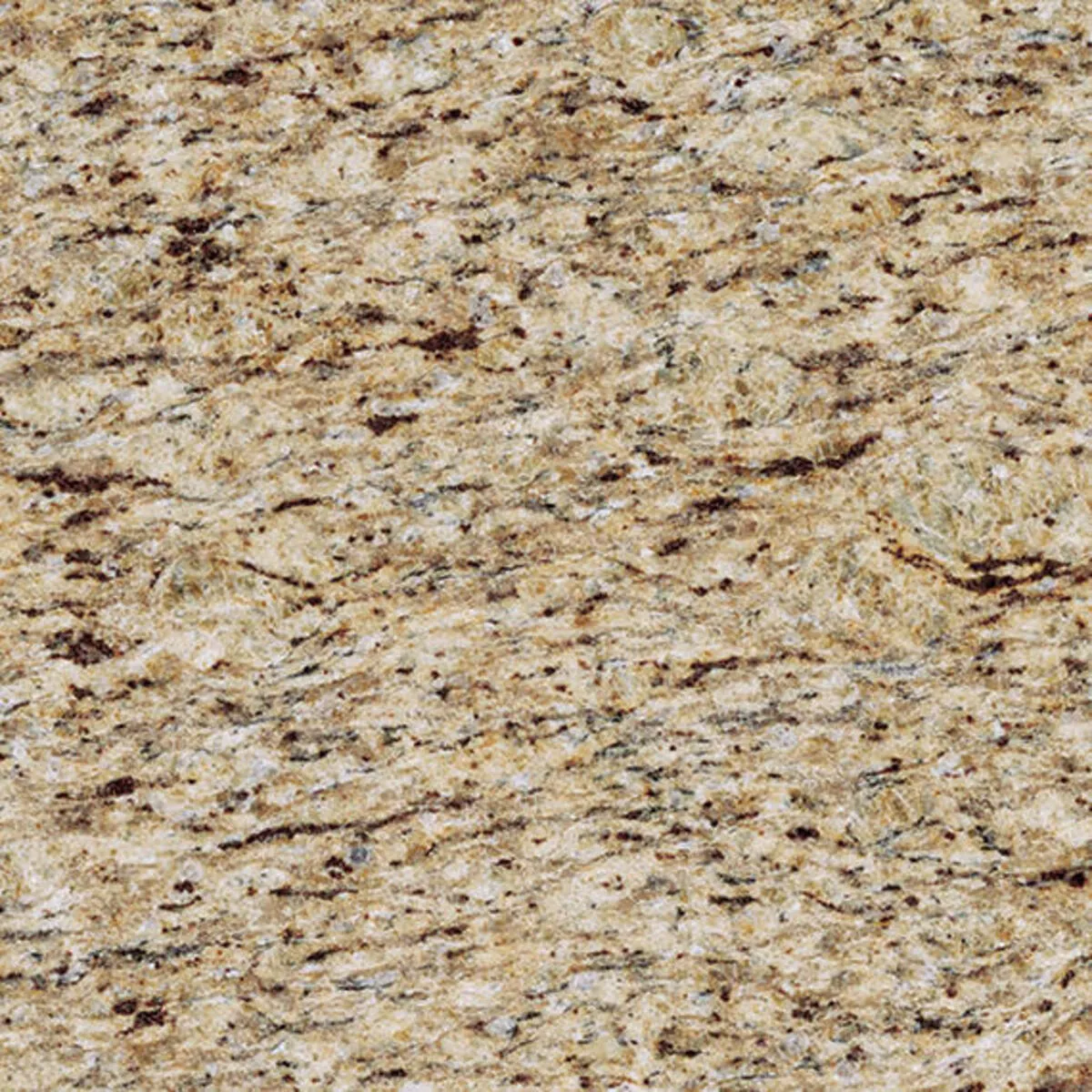 Closeup image of Giallo Ornamental Beige Granite countertop slab
