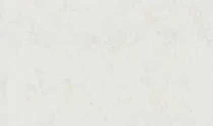 Image of installed ONE Quartz Surfaces Moongaze White Quartz countertops