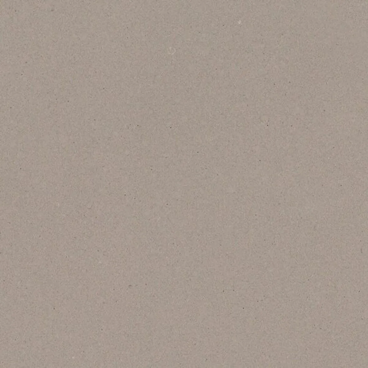 Closeup image of ONE Quartz Surfaces Ash Grey Beige Quartz countertop slab