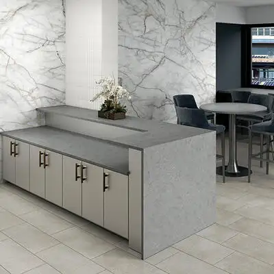 Image of installed ONE Quartz Surfaces Pulsar Grey Quartz countertops