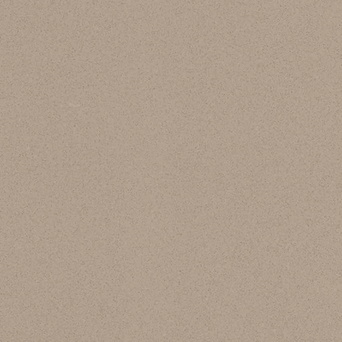 Closeup image of ONE Quartz Surfaces Mesa Dune Beige Quartz countertop slab