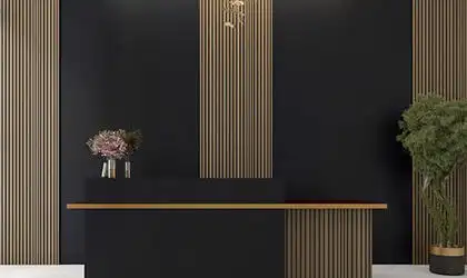 Image of installed ONE Quartz Surfaces Acadia Black Black Quartz countertops