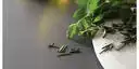 Image of installed Panoramic Porcelain Surfaces Hearth Smoke Grey Porcelain countertops