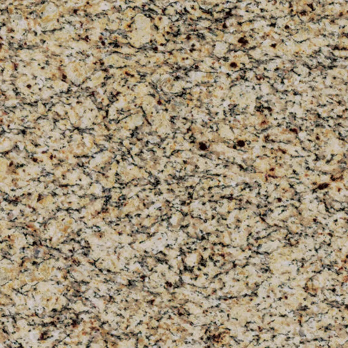 Closeup image of Santa Cecilia Beige Granite countertop slab