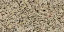 Closeup image of Santa Cecilia Beige Granite countertop slab
