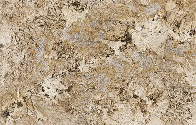 Closeup image of Delicatus Gold Beige Granite countertop slab