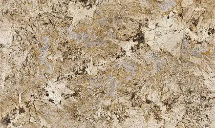 Closeup image of Delicatus Gold Beige Granite countertop slab Stone Countertop